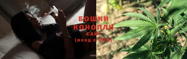 прущие грибы Белокуриха