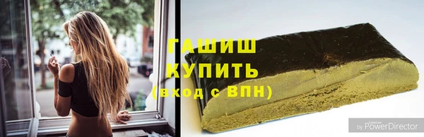 прущие грибы Белокуриха