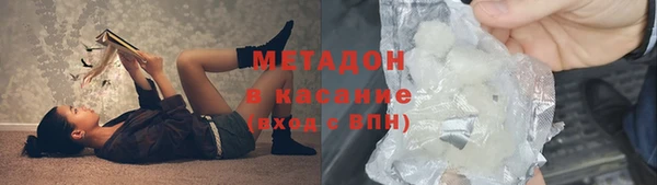 прущие грибы Белокуриха