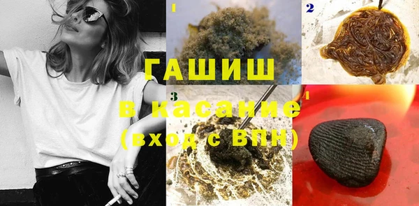 прущие грибы Белокуриха