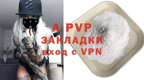 прущие грибы Белокуриха