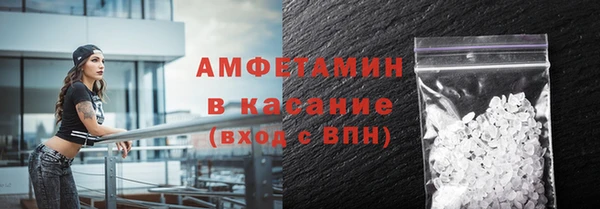прущие грибы Белокуриха