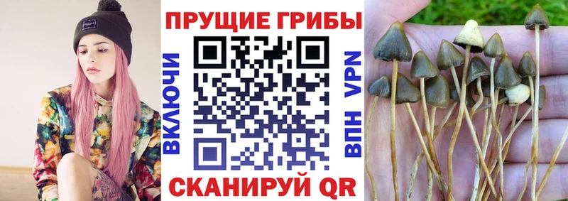 Галлюциногенные грибы мицелий  Маркс 